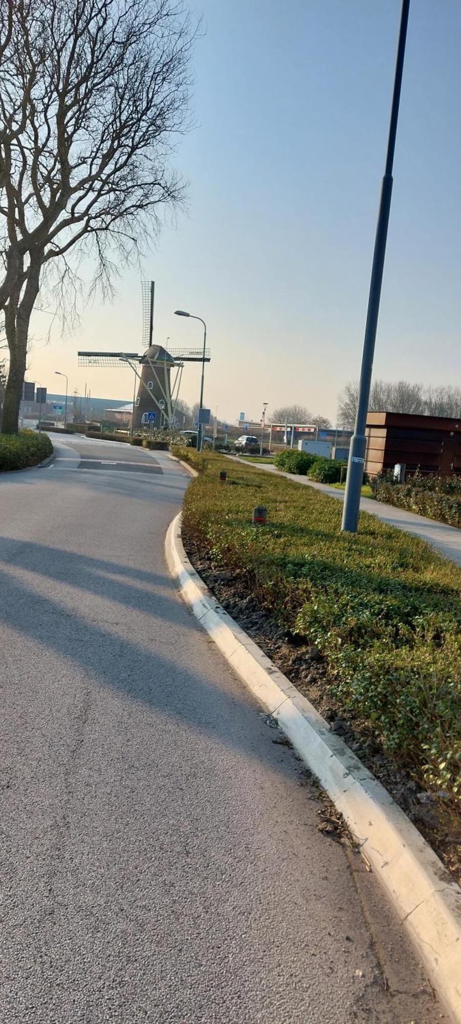 הוילה Wijngaardstraat 7A דומבורג מראה חיצוני תמונה